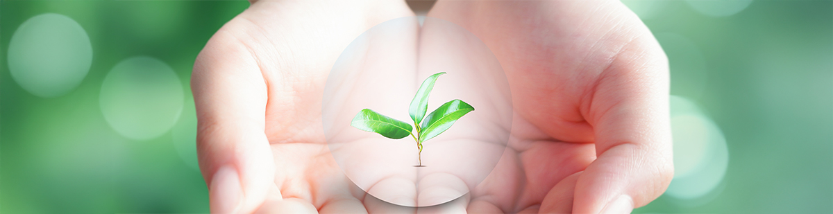 私たちについて